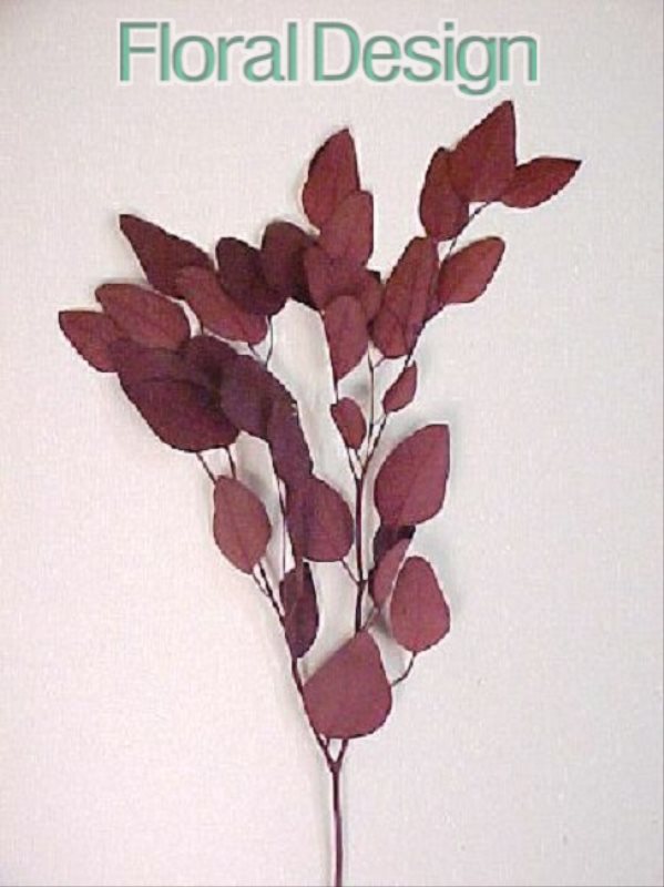 Eucalyptus Populus listy 150gr. bordó