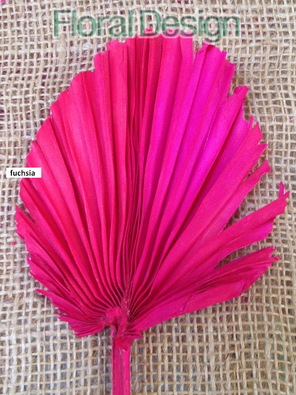 Palm round spear 10 ks světle zelená