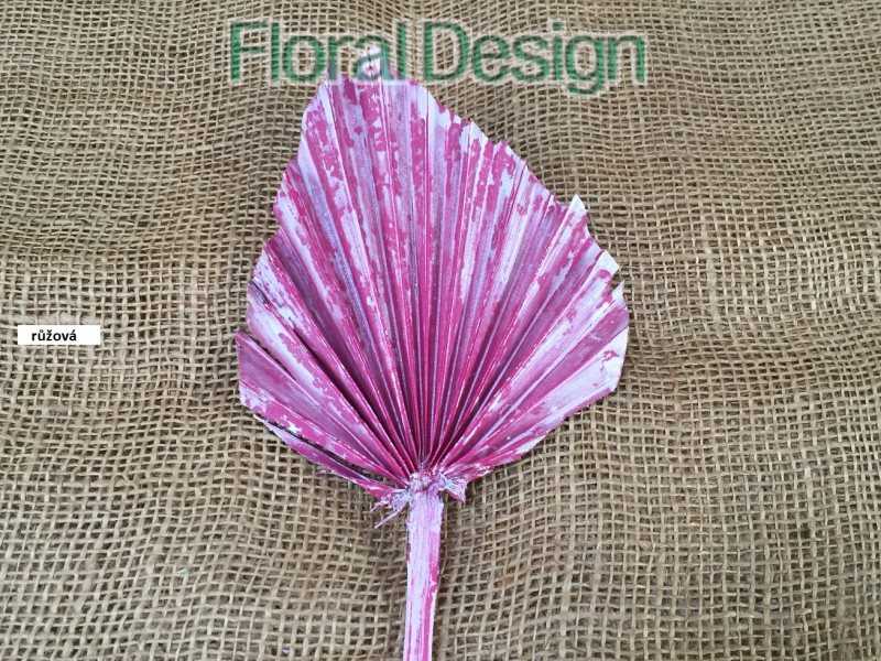 Palm spear medium peral 10 ks světle zelená