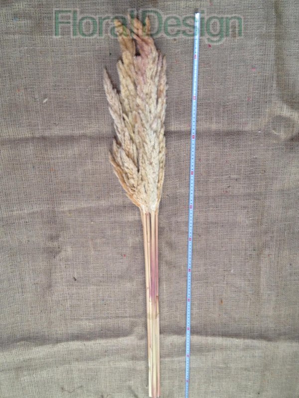Piuma extra růžová 120cm