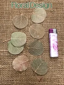 Moneta listy 100gr. natur