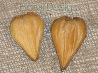 Pradeep heads loose 200 gr. natur