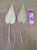 Palm Arrow 50 ks natur