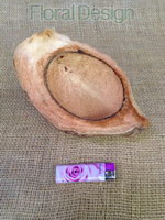 Coco nut half 1 ks natur
