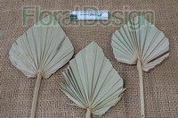 Palm spear medium 10 ks natur