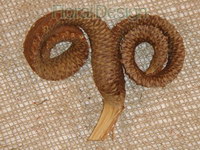 Palm Ring loose 10 ks natur