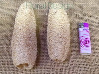 Luffa loose 15 ks natur