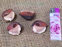 Hakea loose 500gr. natur