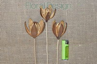 Wild Lily na stopce 10 ks natur