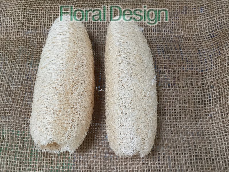 Luffa loose 15 ks bělená