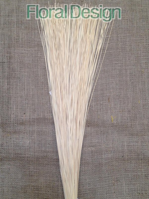 Pedig stick 1,5mm / 80cm natur