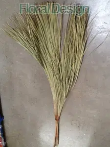 Buriti palmový list 250-300cm natur