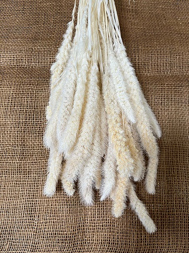 Setaria 100gr. bělená