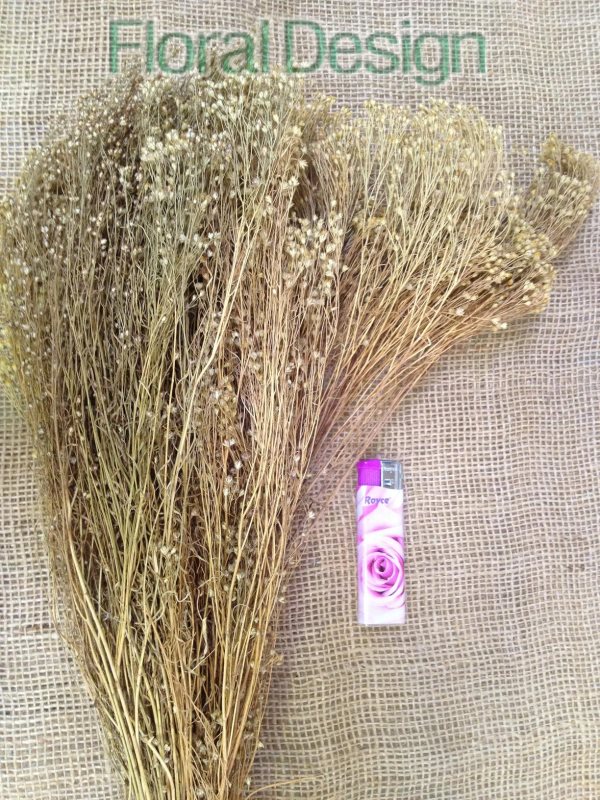 Broom Bloom 100gr. natur