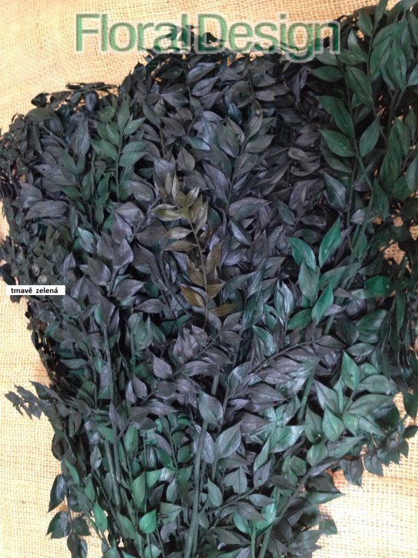 Ruscus 1kg. tmavě zelená stabilizovaný