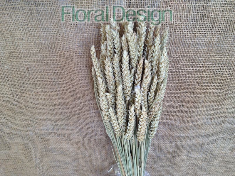 Triticum natur 100gr.