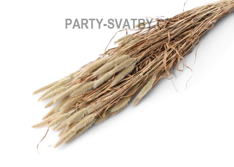 Phlenum 75gr. natur
