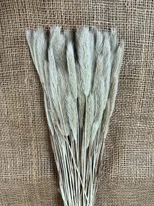 Phlenum 75gr. natur