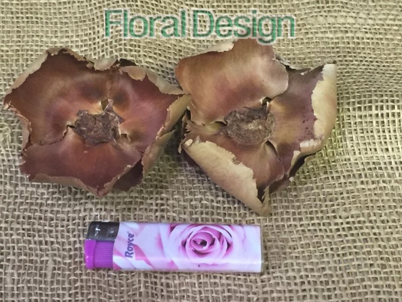 Palm cup loose 10 ks natur