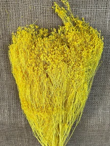 Broom Bloom 100gr. žlutá