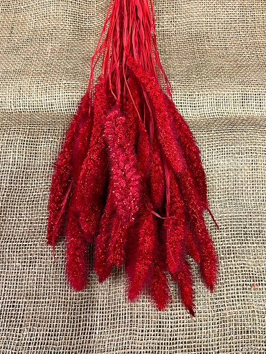 Setaria 100gr. červená