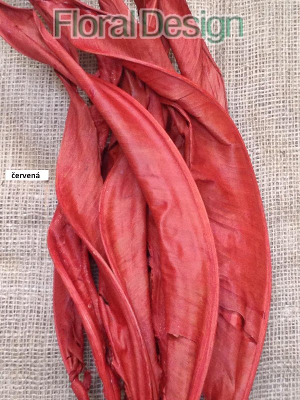 Strelizia listy 10 ks 100cm červená