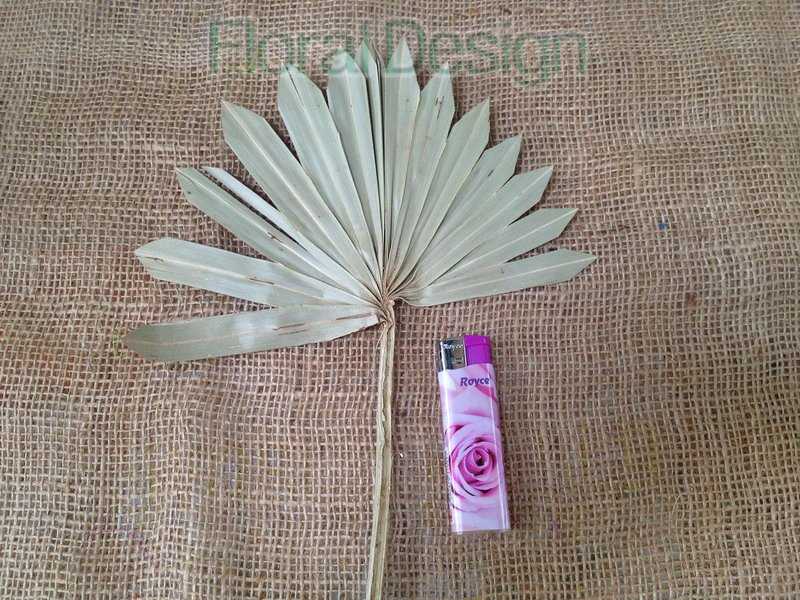Palm sun spear mini 10 ks natur