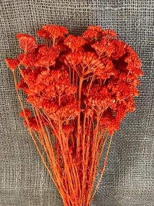 Achilea 100gr. oranžová 