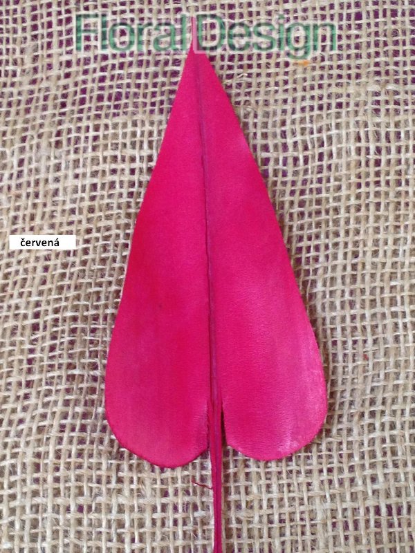 Palm Arrow 50 ks červená