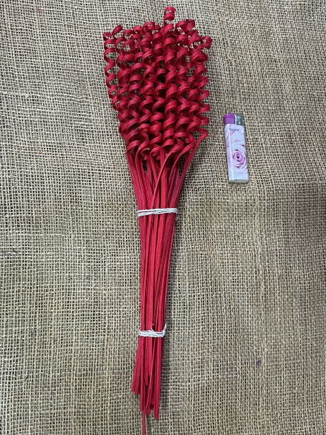 Cane spring mini 25 ks červená