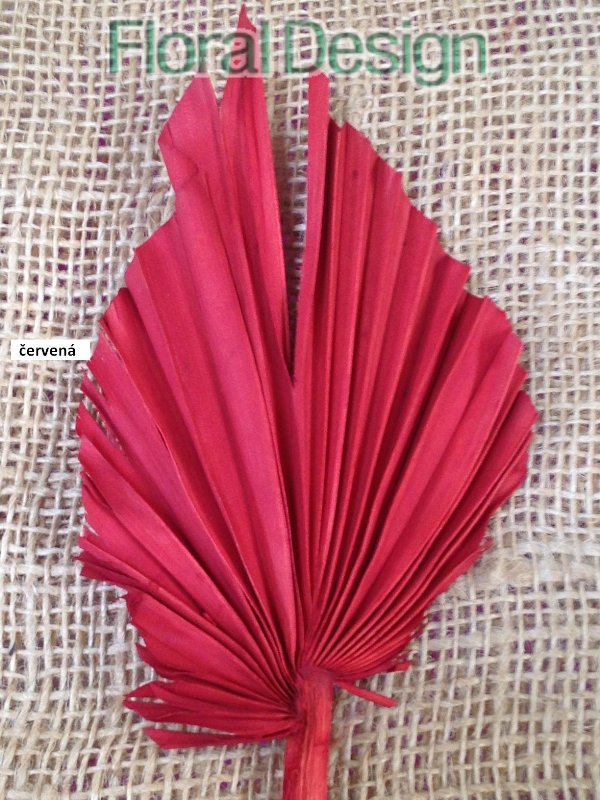 Palm spear medium 10 ks červená