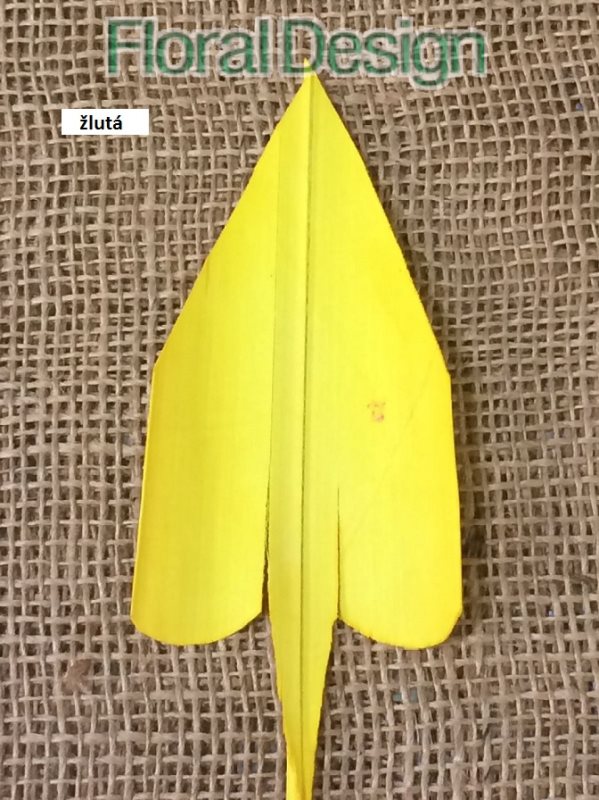 Palm Arrow 50 ks žlutá