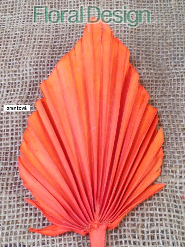 Palm spear medium 10 ks oranžová