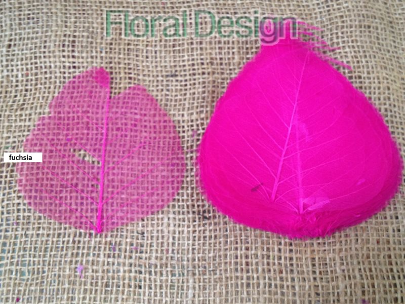 Peepul skelet 50ks fuchsia