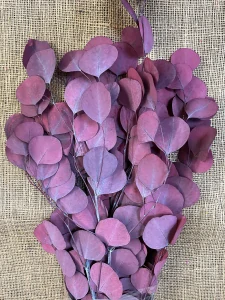 Eucalyptus Populus listy 150gr. bordó