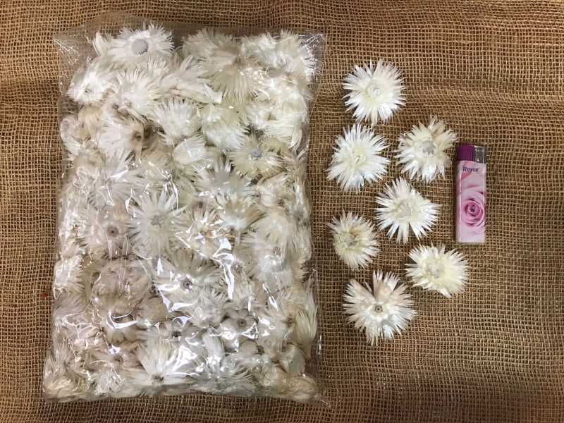 Helichrisum ( slaměnky ) 100gr. loose natur