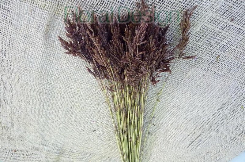 Red tassel 75gr. natur