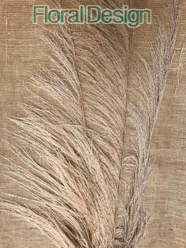 Uva Stalk 180cm natur 3ks