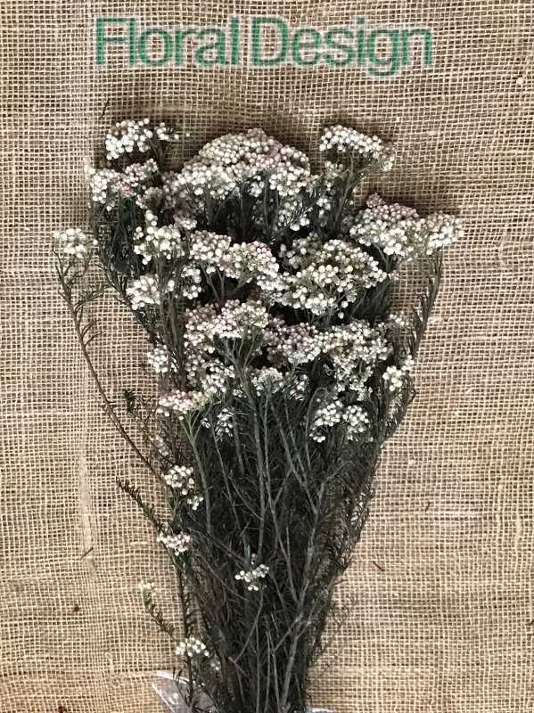 Rice flower 100gr. natur