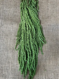 Amaranthus olivová stabilizovaný
