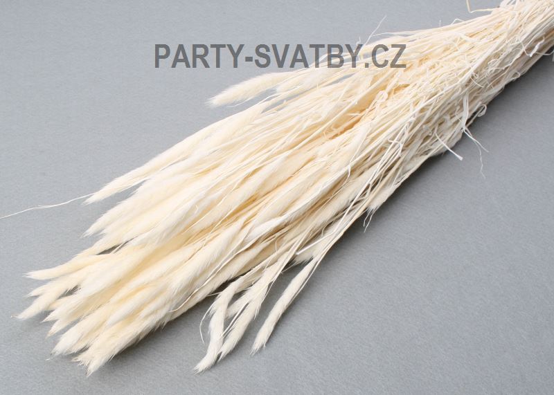 Phlenum 75gr. bělená