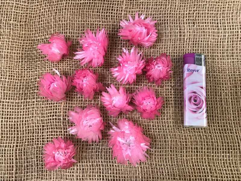 Helichrisum ( slaměnky ) 100gr. loose růžová