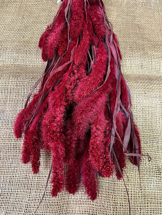 Setaria 150gr. červená
