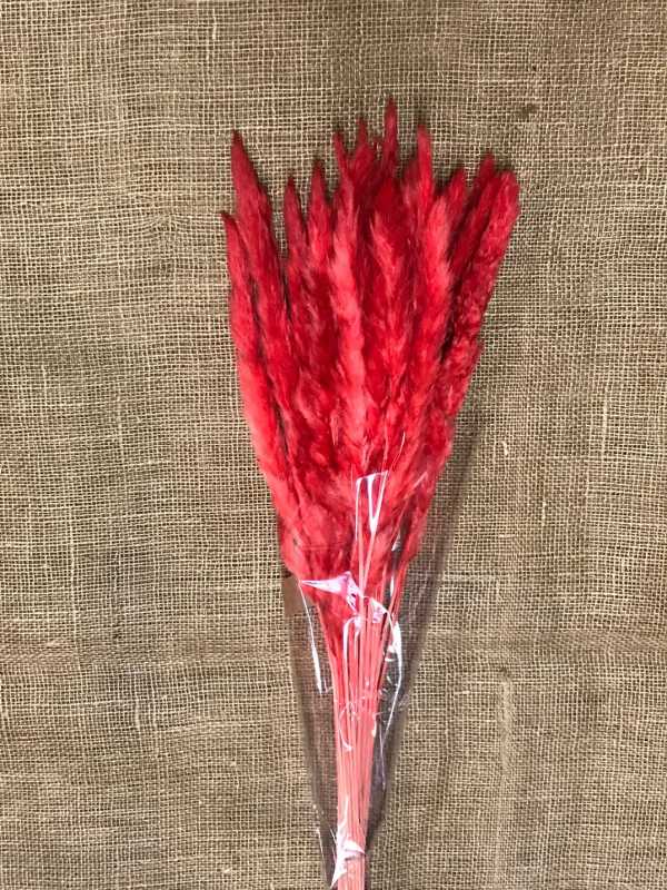Piuma decorativa 60cm červená 20ks