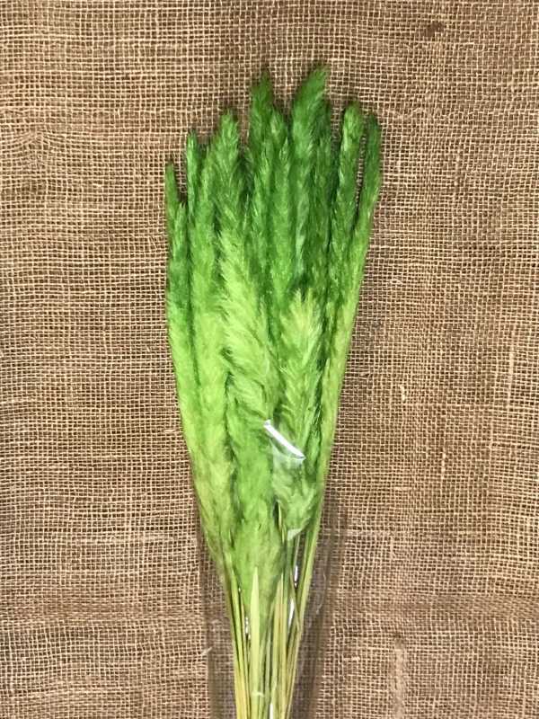 Piuma decorativa 60cm zelená 20ks