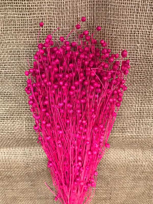 Len 100gr. fuchsia