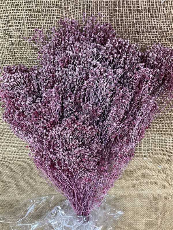 Broom Bloom 100gr. bordo / frozen