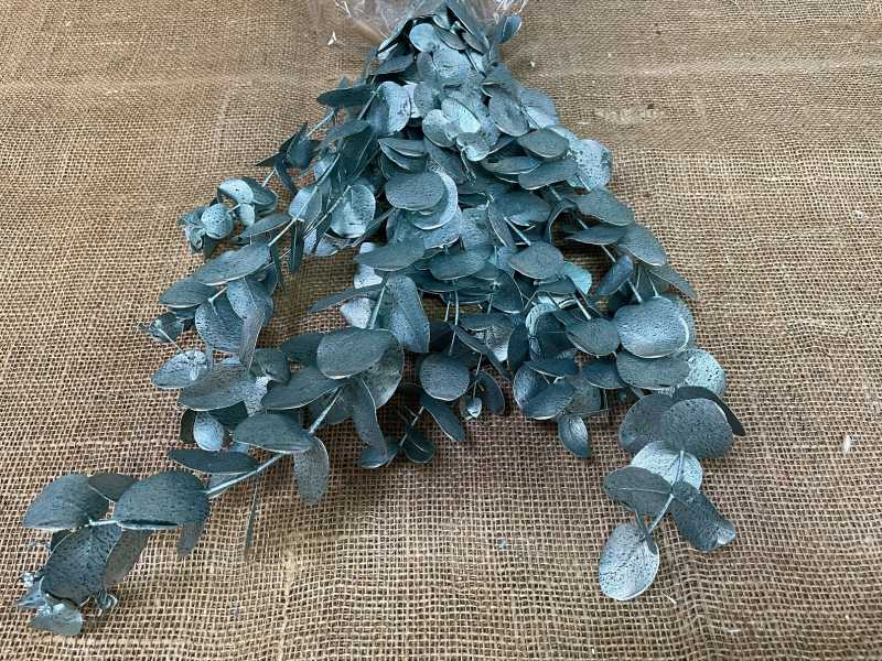 Eucalyptus Spiral listy 150gr. zelená metaliza