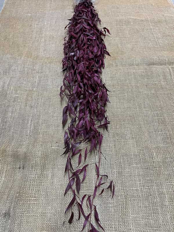 Ruscus 120gr. červená 140cm stabilizovaný