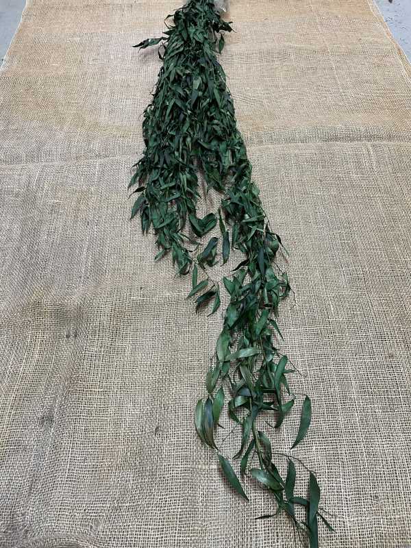 Ruscus 120gr. zelená 140cm stabilizovaný